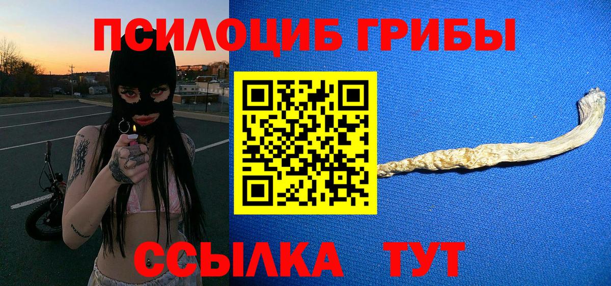 Псилоцибиновые грибы Psilocybine cubensis Рубцовск